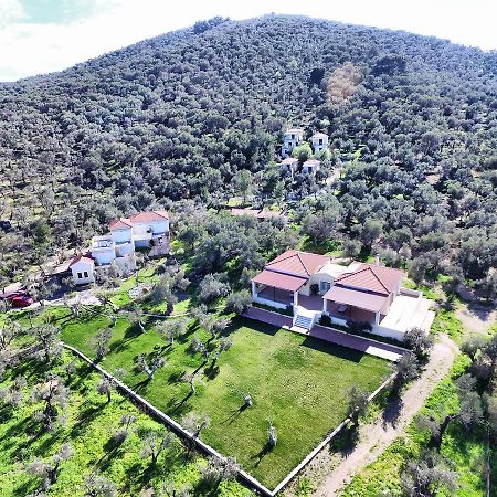 Hotel Gera'S Olive Grove - Elaionas Lesvou Marmaro  Esterno foto
