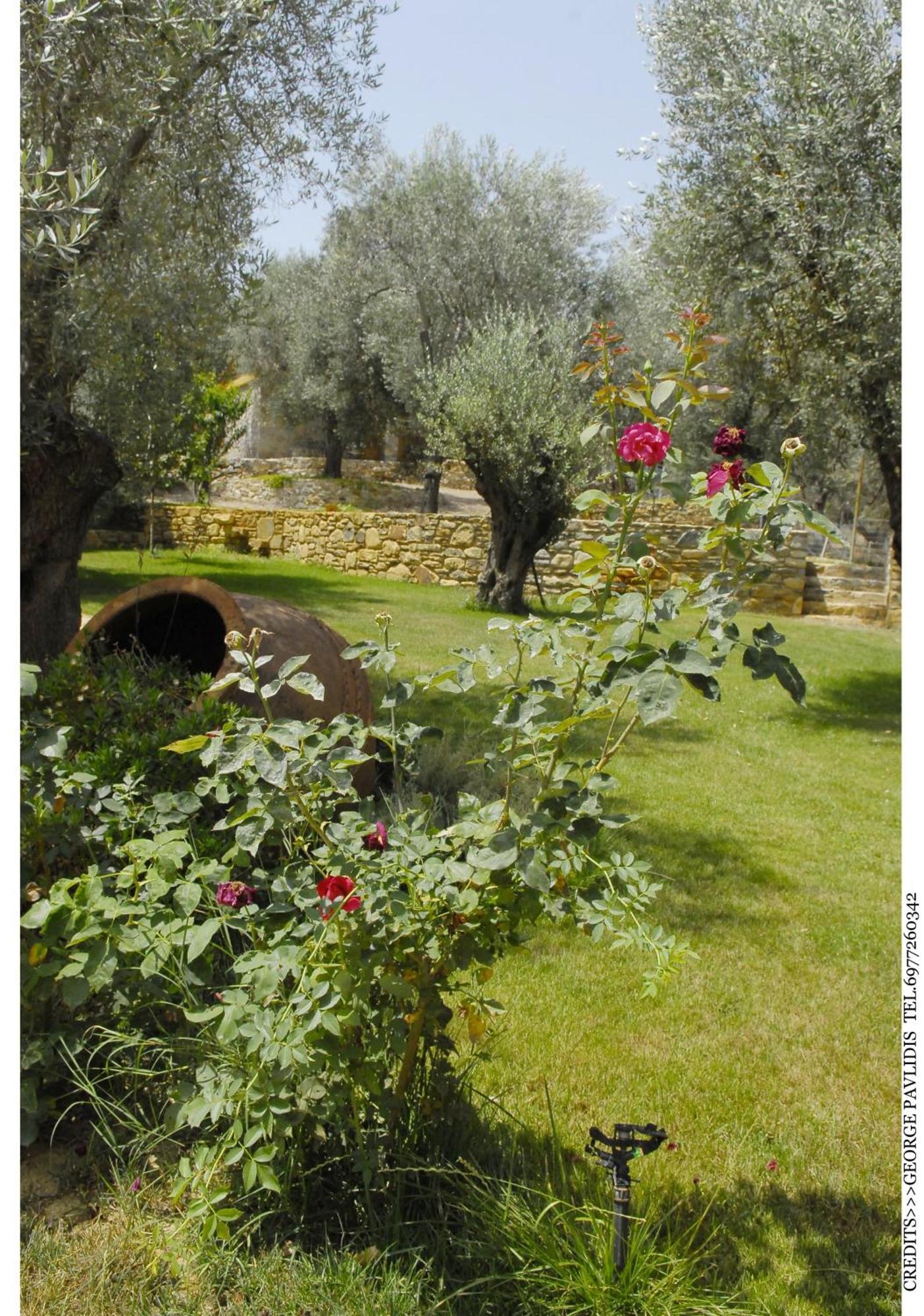 Hotel Gera'S Olive Grove - Elaionas Lesvou Marmaro  Esterno foto