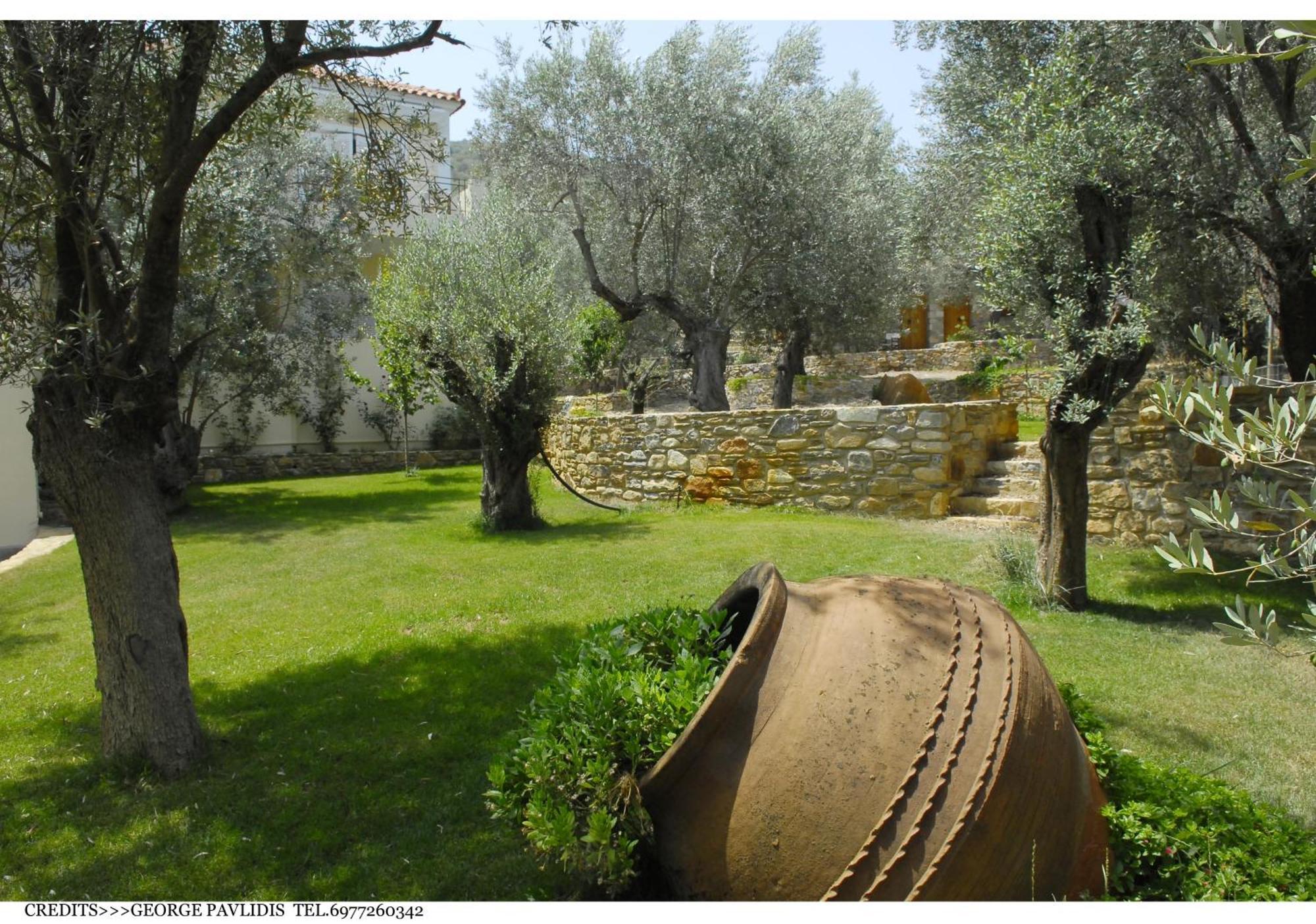 Hotel Gera'S Olive Grove - Elaionas Lesvou Marmaro  Esterno foto