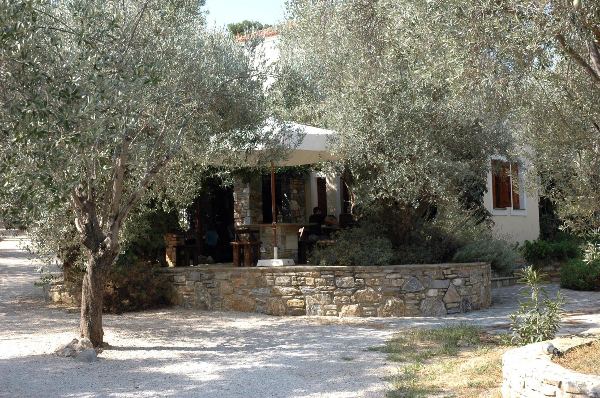 Hotel Gera'S Olive Grove - Elaionas Lesvou Marmaro  Esterno foto