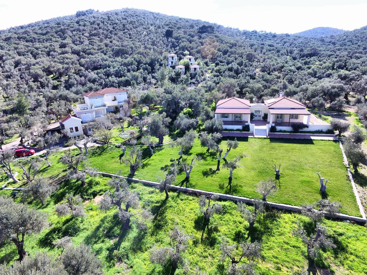 Hotel Gera'S Olive Grove - Elaionas Lesvou Marmaro  Esterno foto