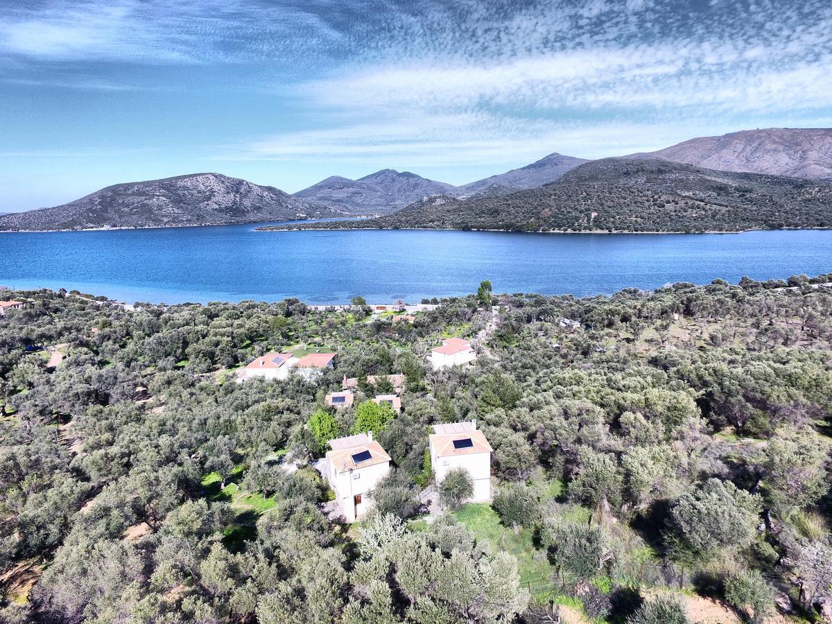 Hotel Gera'S Olive Grove - Elaionas Lesvou Marmaro  Esterno foto