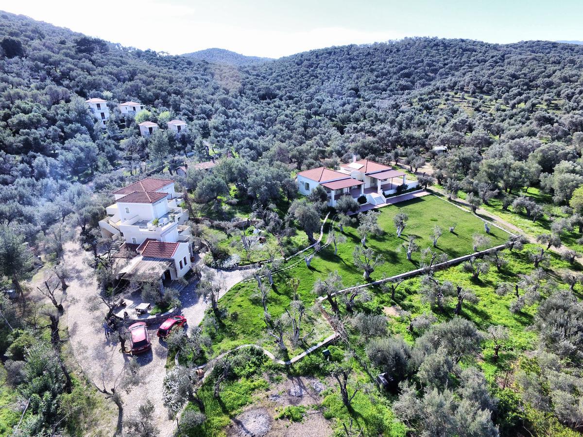 Hotel Gera'S Olive Grove - Elaionas Lesvou Marmaro  Esterno foto