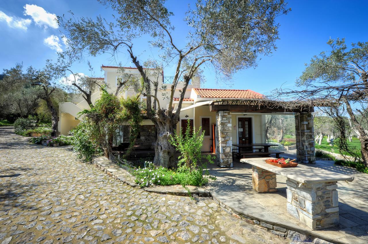 Hotel Gera'S Olive Grove - Elaionas Lesvou Marmaro  Esterno foto