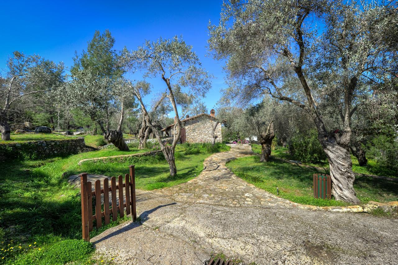 Hotel Gera'S Olive Grove - Elaionas Lesvou Marmaro  Esterno foto